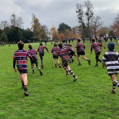 Old Pats Juniors at The Park